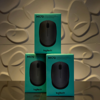 Logitech M170